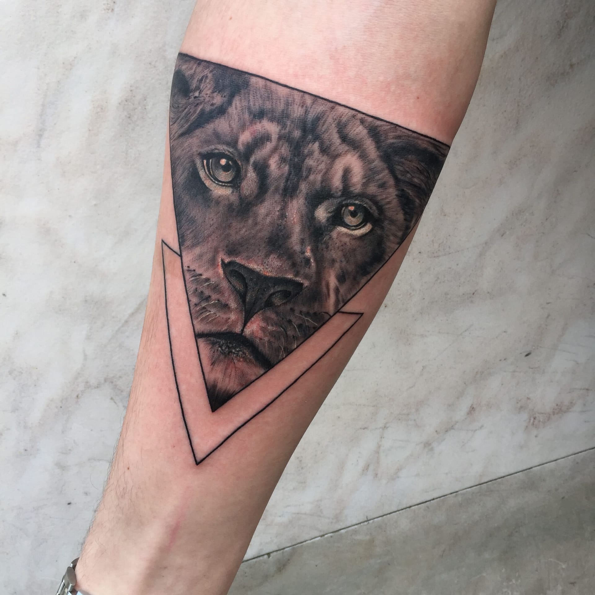 Tattoo van een leeuwenkop in een driehoek op een onderarm, realistisch in zwart en grijs.
